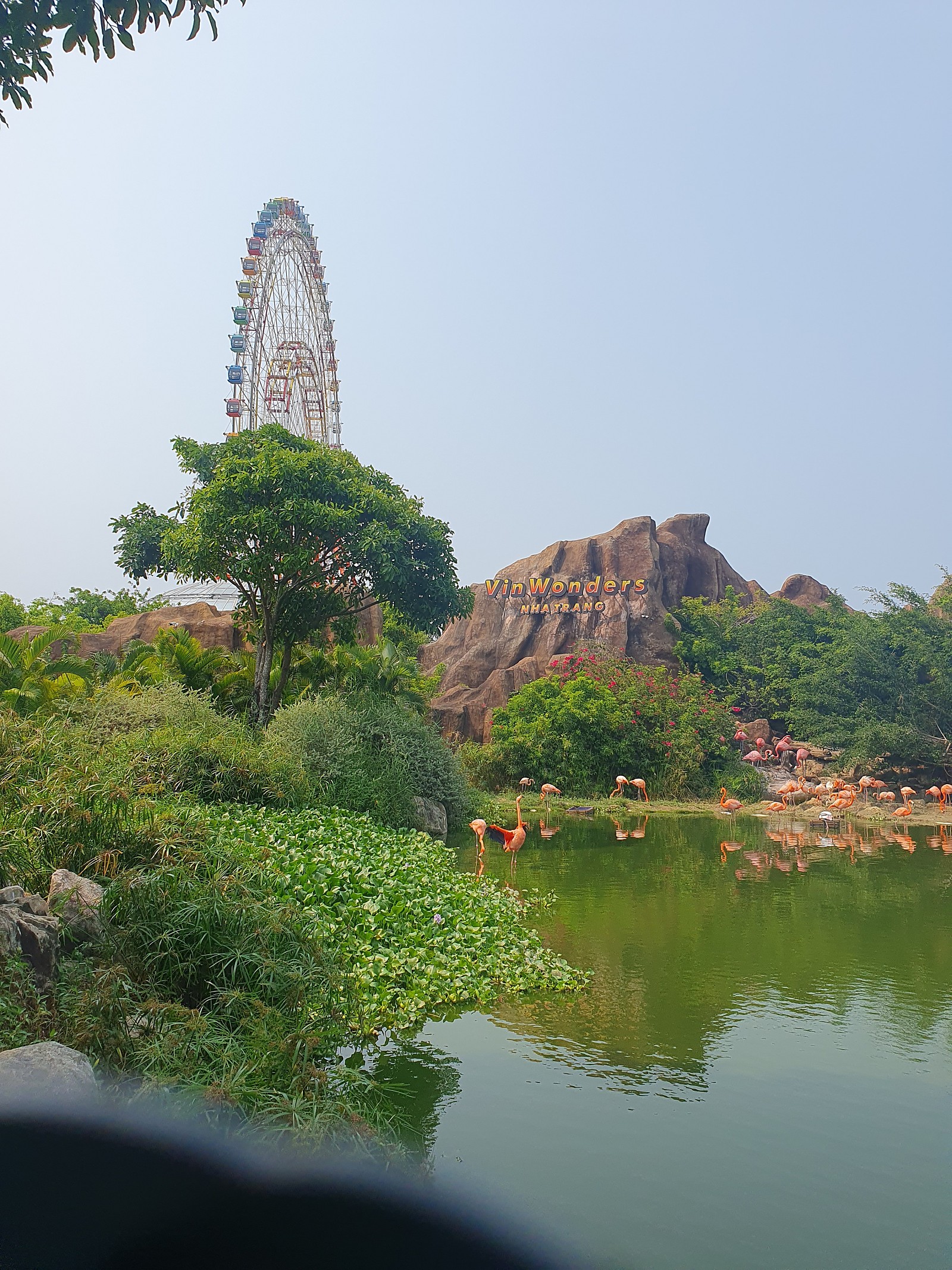 [나트랑] 나트랑 여행후기