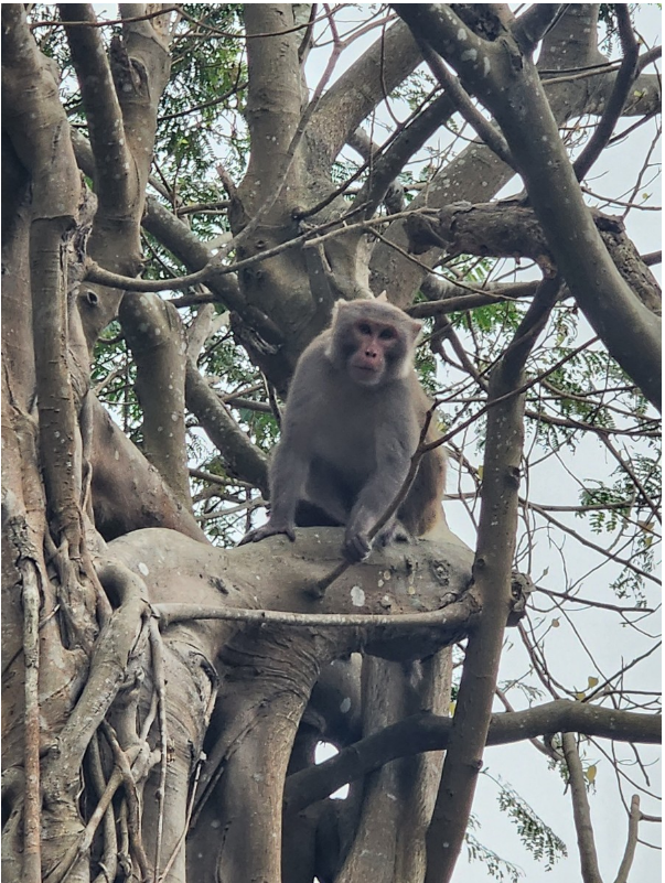 [다낭] 초원 가이드님~ 감사합니다~