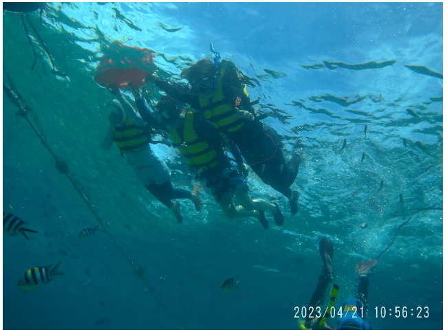 [세부] 아론 가이드님과 함께한 부부동반 멋진 힐링여행