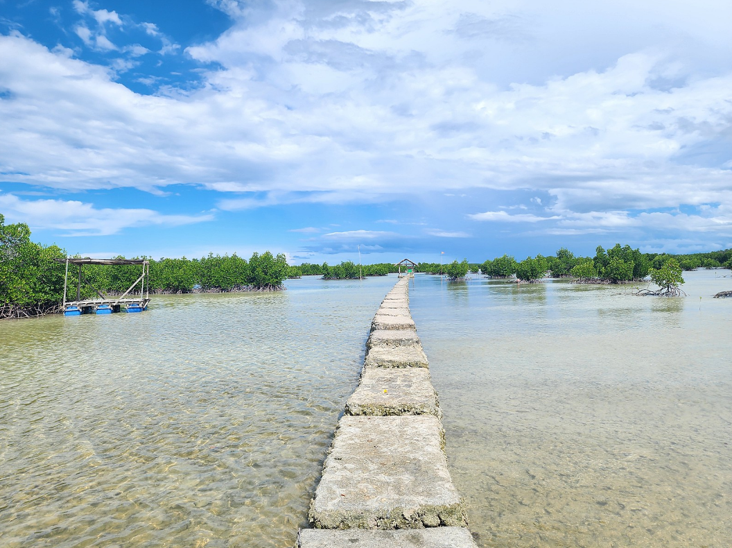[세부] 제롬님과 호핑투어 너무 감사했습니다.