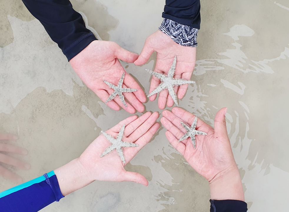 [세부] 4인4색 여행러버, 세부에 다녀왔습니다!