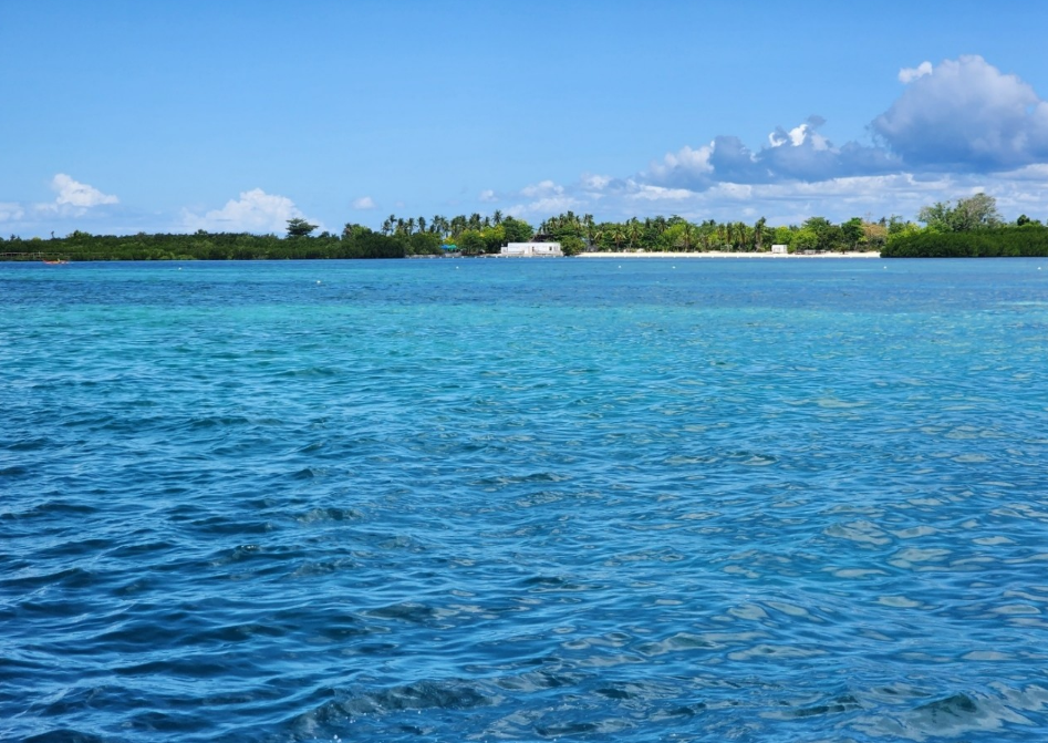 [세부] 너무 행복했던 호핑 그리고 시티투어