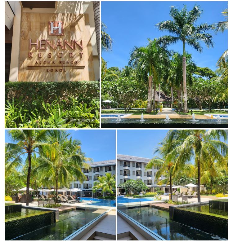 [보홀] 보홀 데니스 가이드님과 함께한 4박 5일 찐후기 !