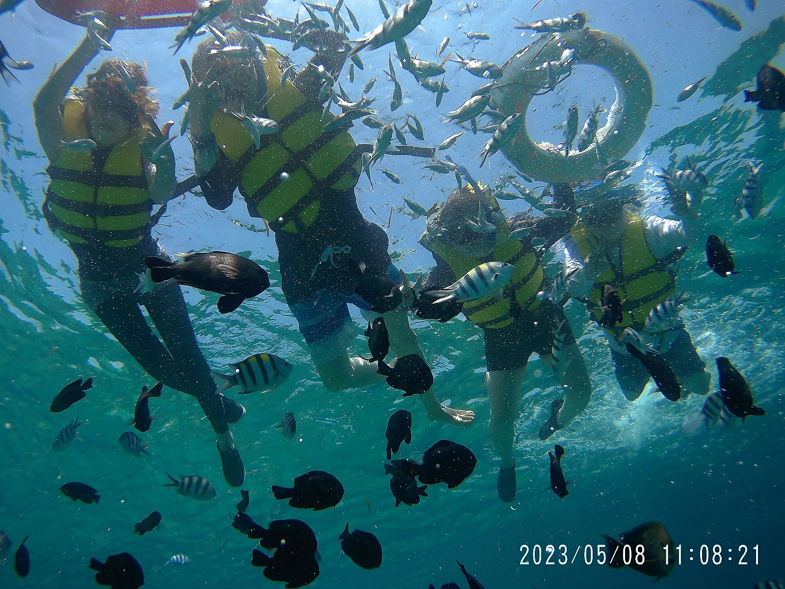 [세부] 예쁜 딸같은 가이드 티나님과의 소중한 세부여행