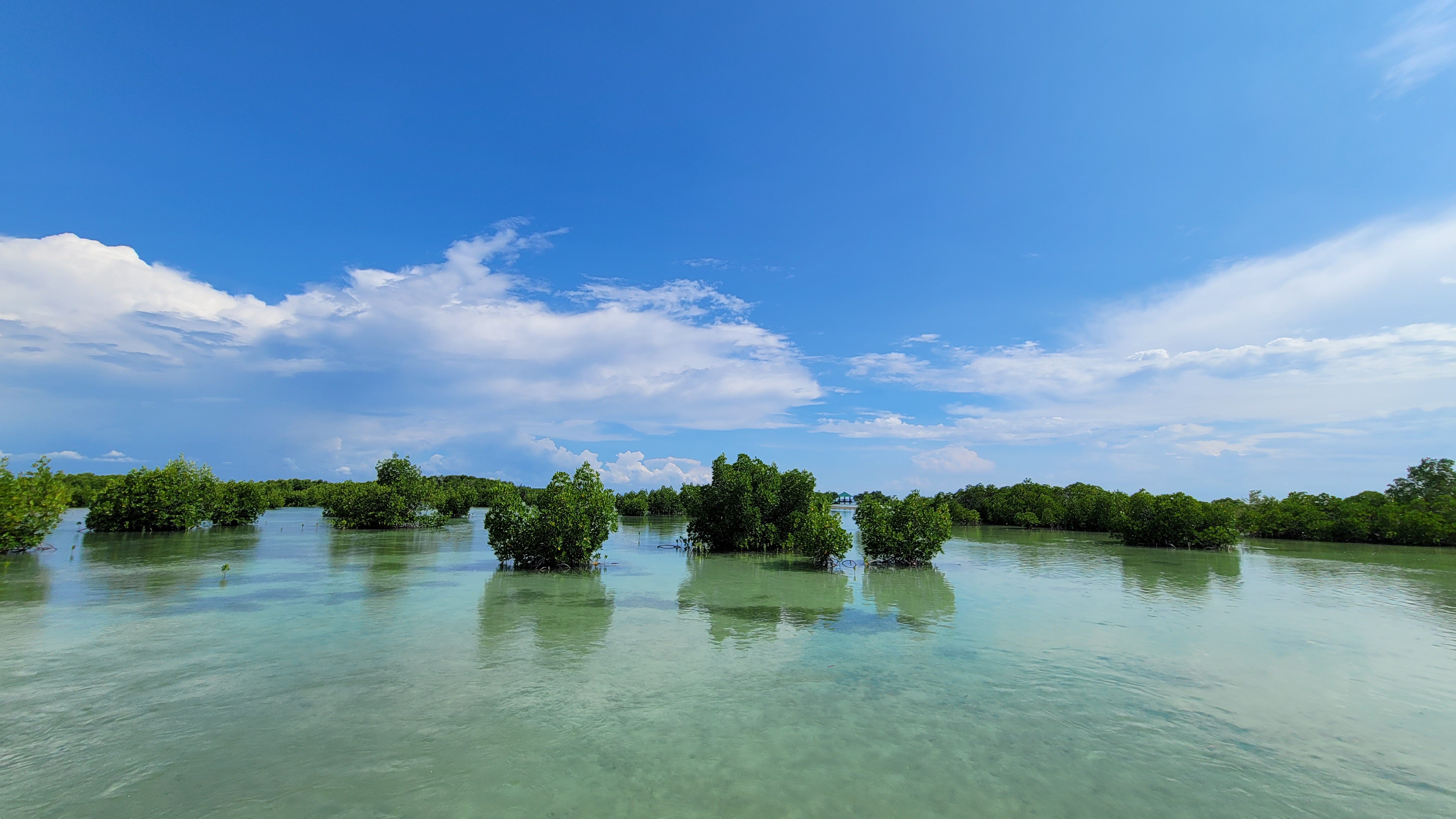 채플린가이드님과 함께 한 CEBU