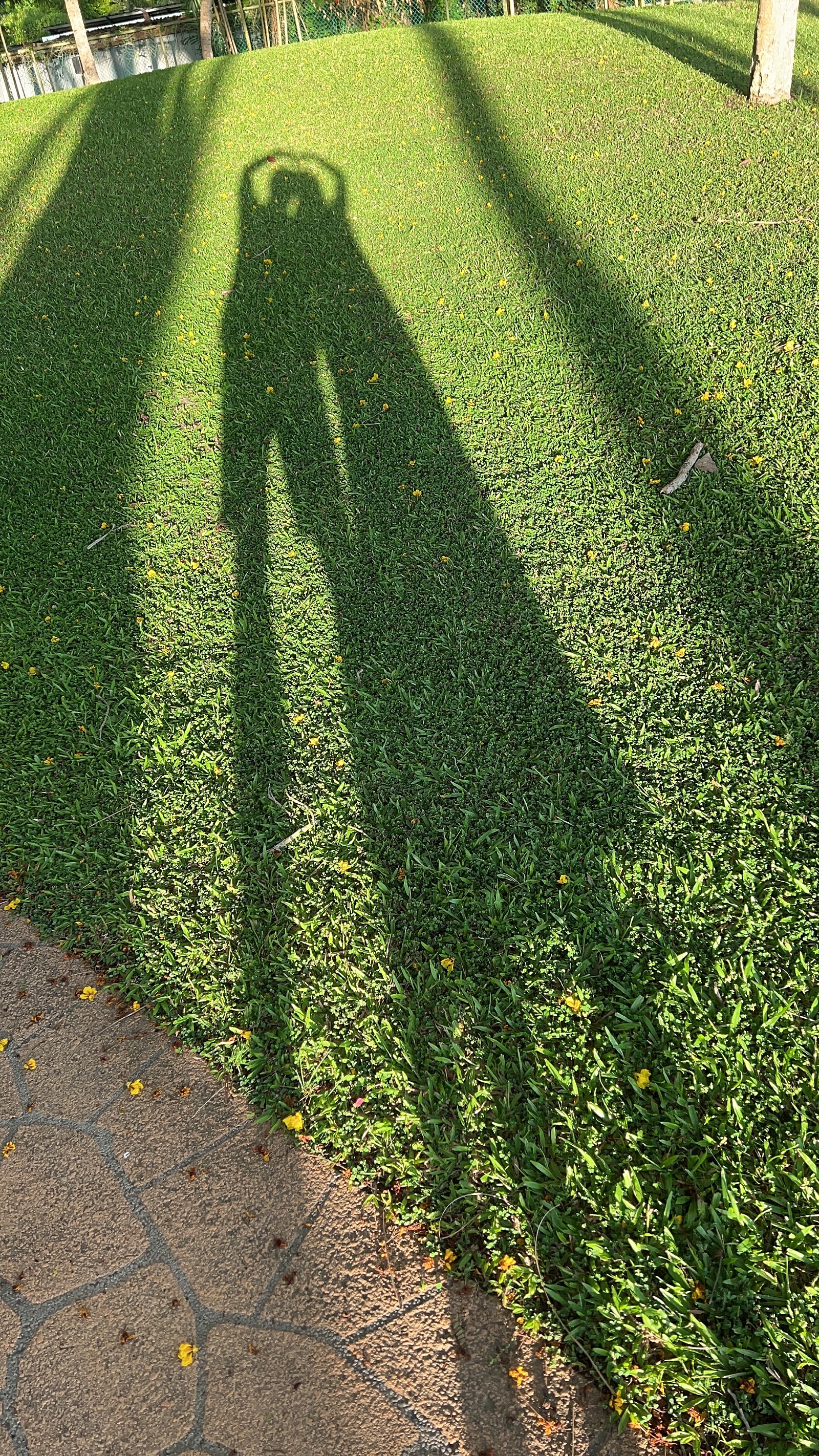 [코타키나발루] 레오 가이드님 정말 너무 하시네요 #Part2입니다~ ^^