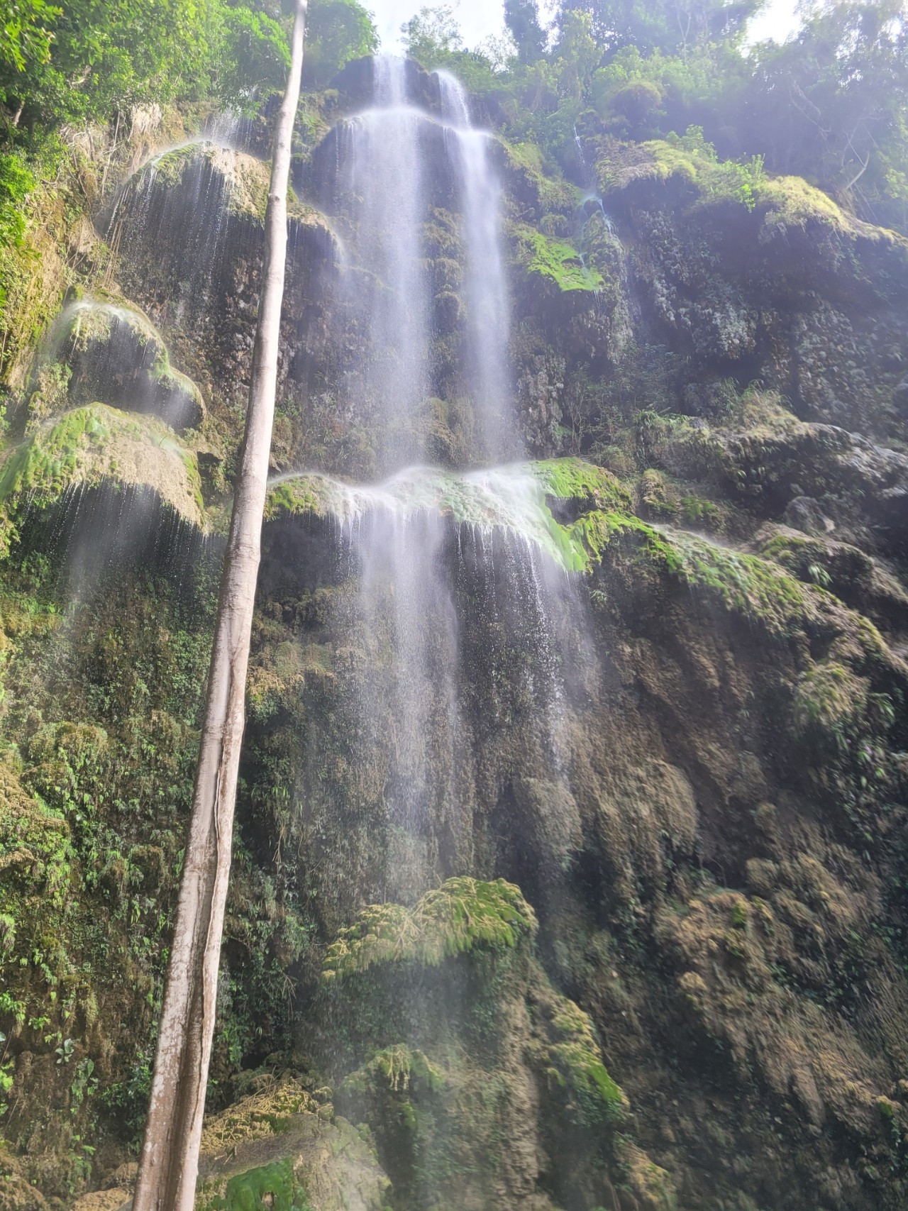 [세부] 유아랑 초딩이랑 빡센일정으로 다녀온 세부여행~ 클락가이드님이 고생많으셨어요ㅠㅠ