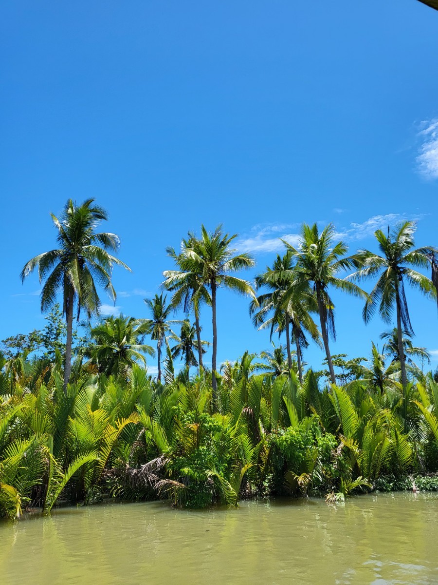 [보홀] 오스카가이드님과 함께한 여행~
