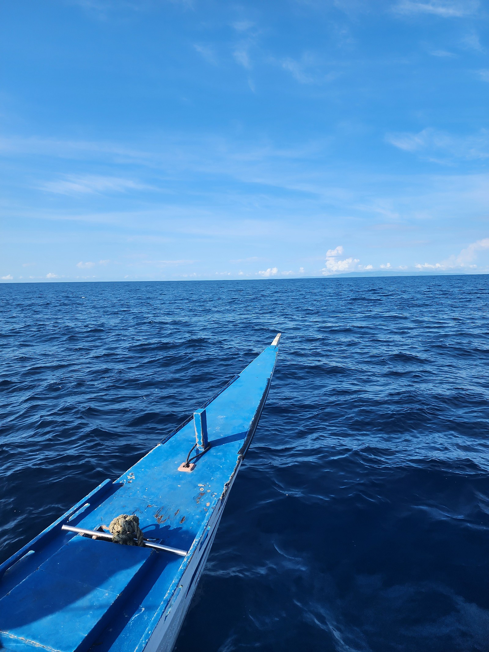 [보홀] 보홀이 짱이에요~
