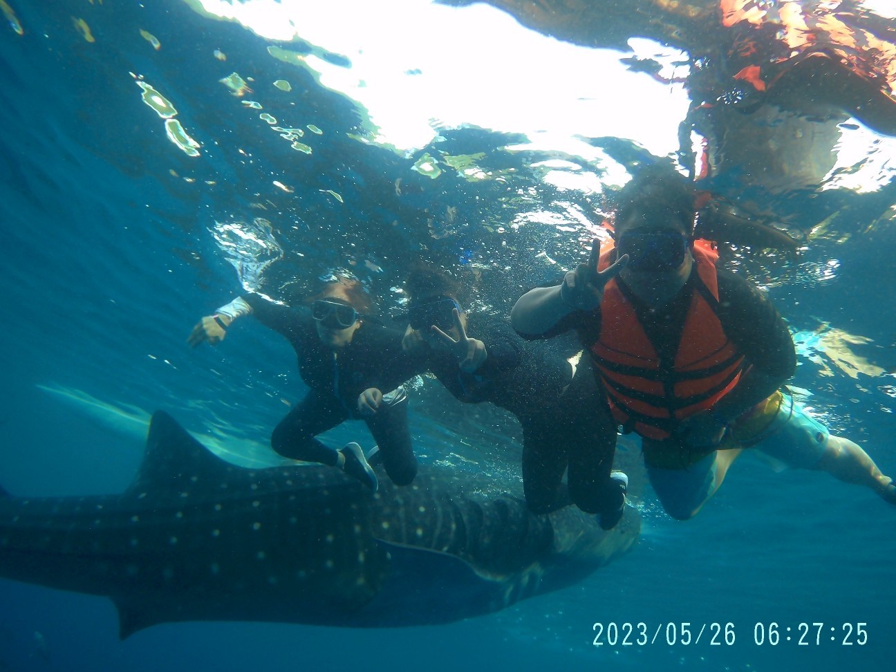 [세부] (세부여행)날씨를 지배하는자.막힌 도로를 뚫는자~그의 이름은 ~~~~^^아론~~~~~^^