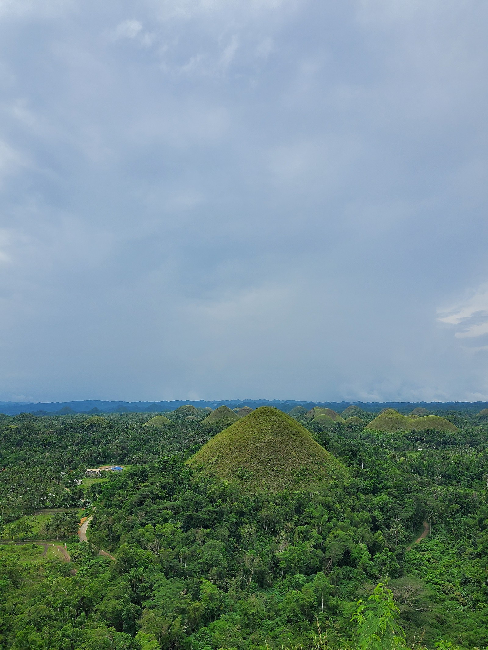 [보홀] 보홀~~~ 콜 가이드님과 함께 즐겁고 감동의 시간