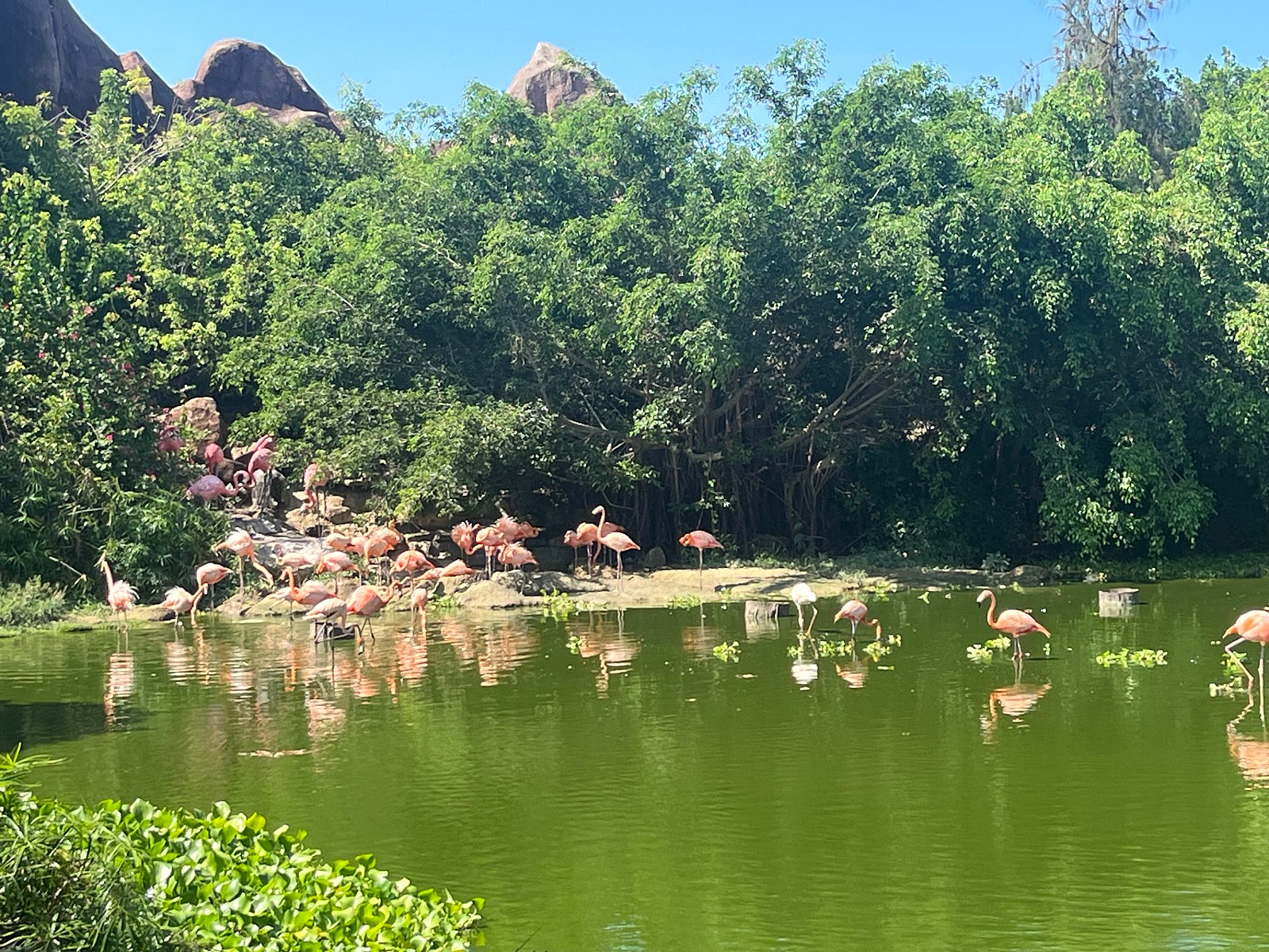 [나트랑] ’나트랑 핵심팩 3박5일‘  mien가이드님과 함께한 즐거운 여행후기^^