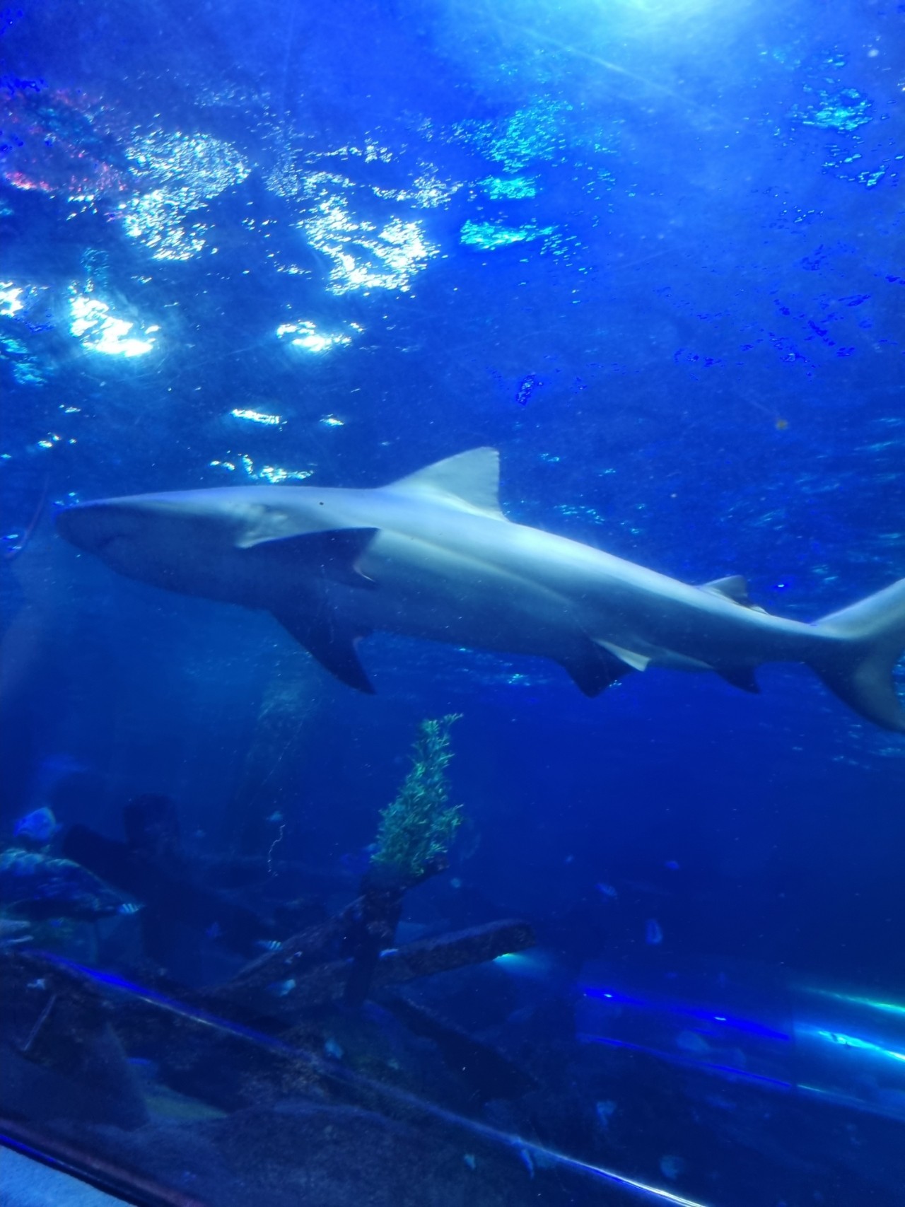 [나트랑] 하니가이드님과 함께한 나트랑 둘째날!