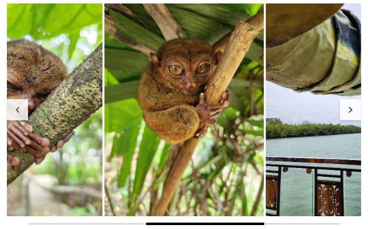 [보홀] [여행후기] [2023.05.28~06.01] 슈퍼태풍 '마와르'를 뚫고 다녀온 보홀 4박 5일 여행기(with 자레드 가이드님)