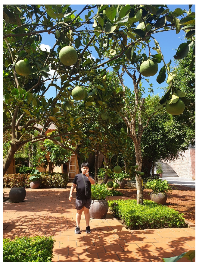 [다낭] 훈남 김민 가이드님과