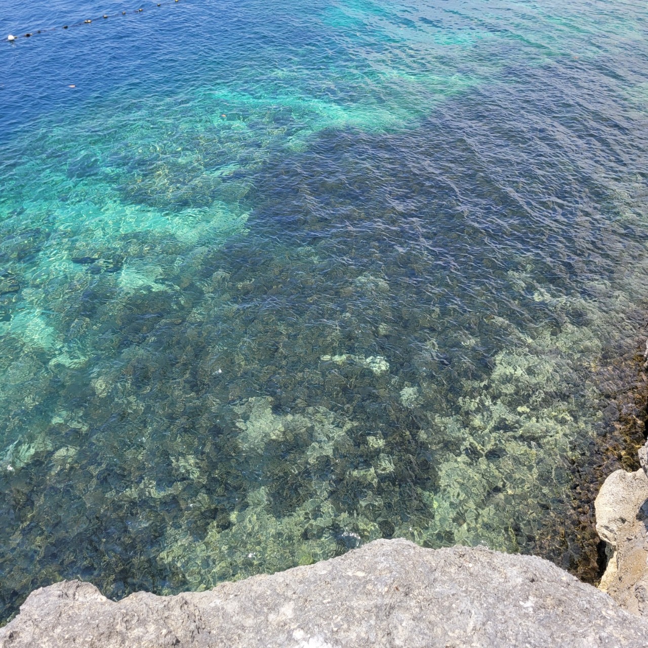 [보홀] 어머님 팔순 가족여행 후기