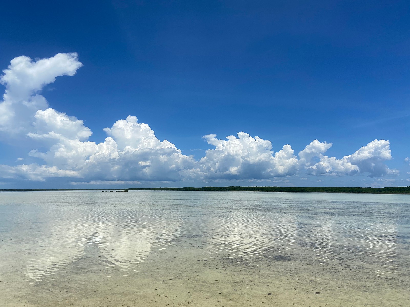 [세부] 세부 가족여행