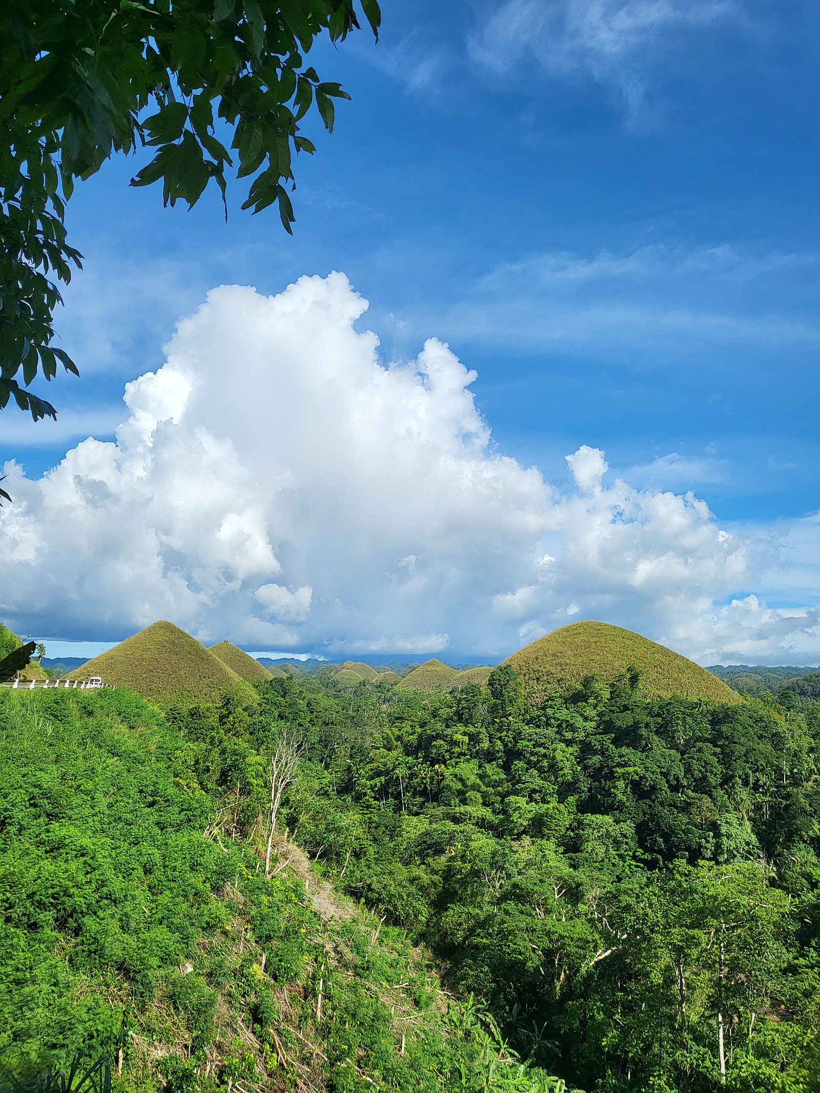 [보홀] 보홀 min 가이드님 사랑합니다!!!!!
