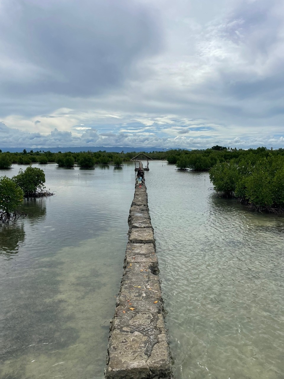 [세부] 채플린 가이드님과 함께한 세부여행~