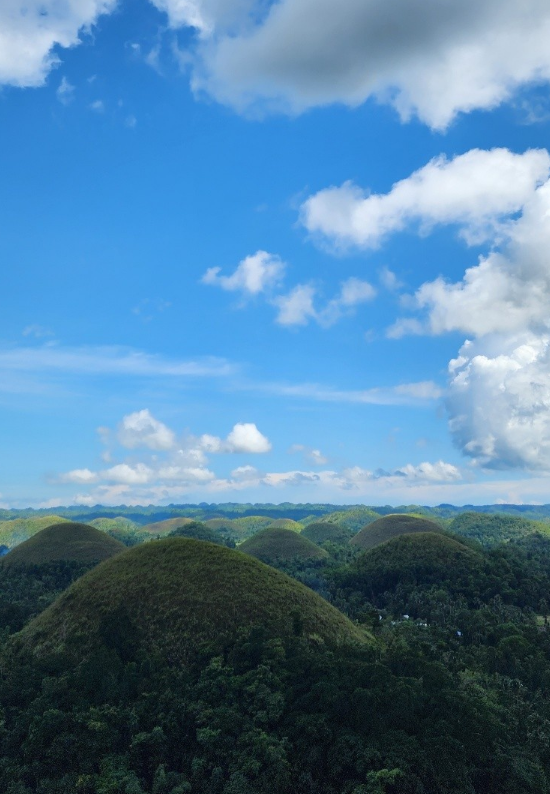 [보홀] 테디님과 함께한 팡라오 이야기