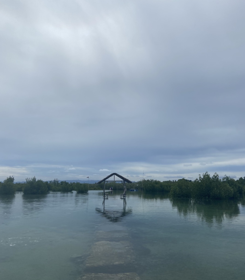 [세부] Jack 가이드님과 함께 했던 호핑투어