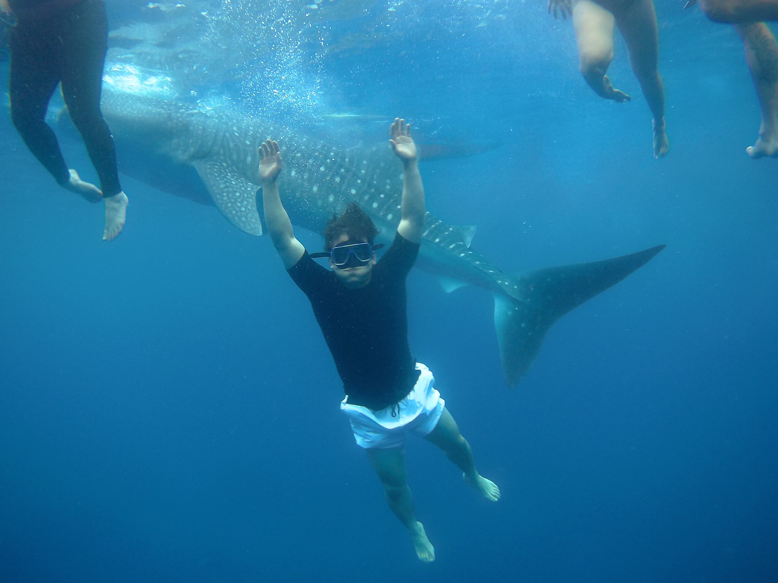 [세부] 가이드맨 자유여행 3박4일 후기