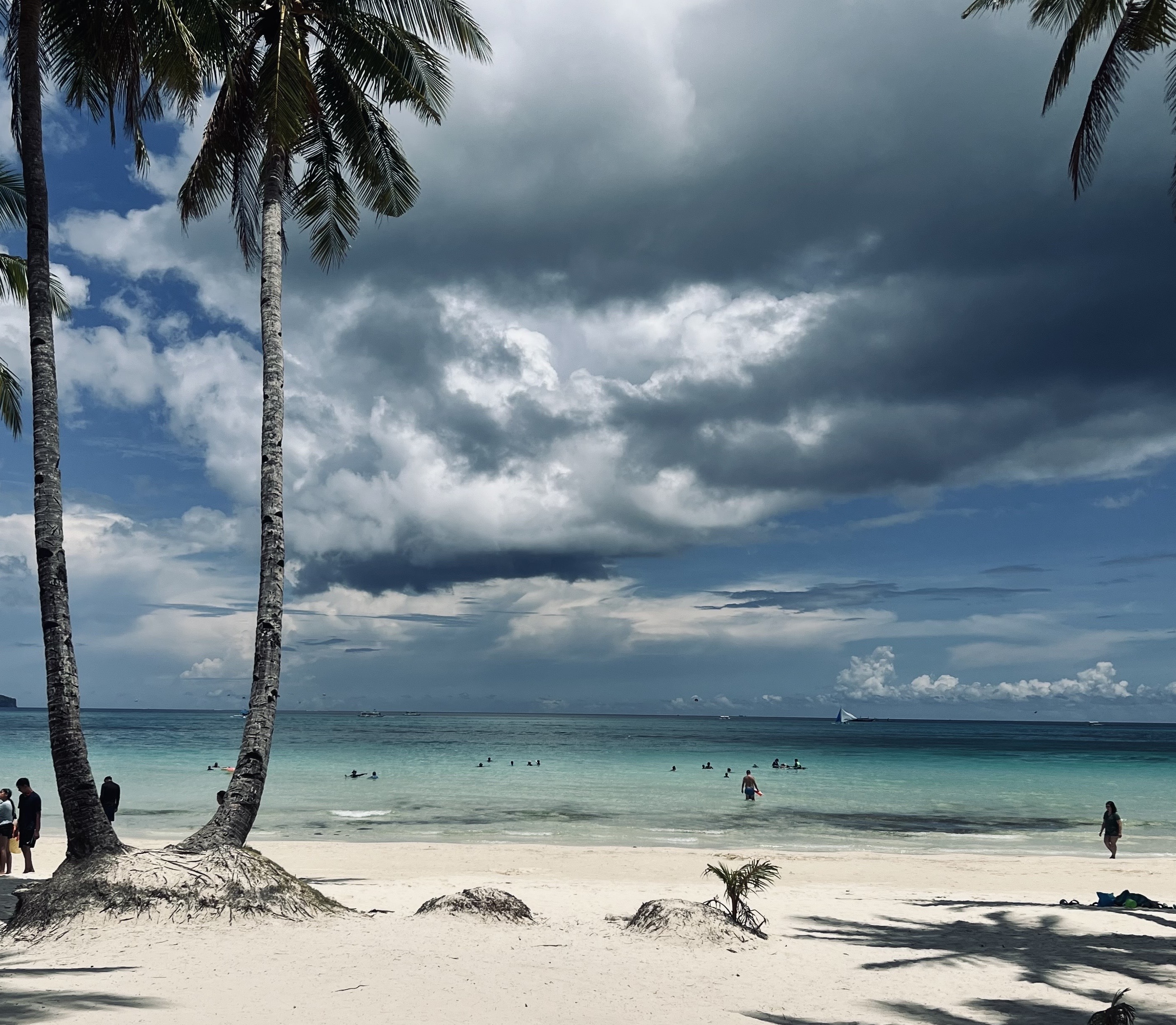 보라카이 바로!!고!!!