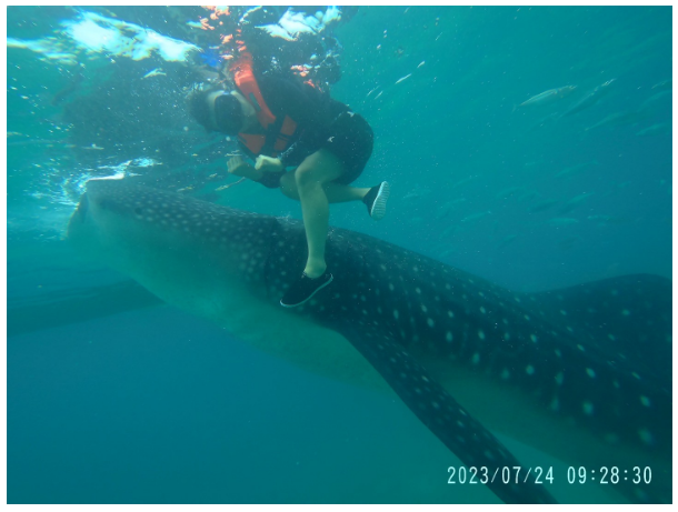 [세부] 세부여행 후기입니다