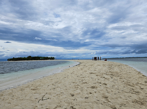 [보홀] 콜가이드님과 함께한 3박4일 보홀 여행!