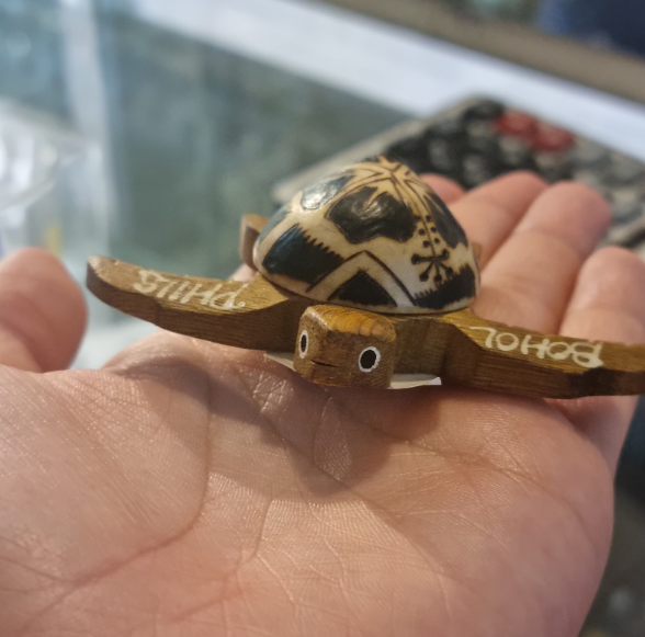 [보홀] 보홀 호핑투어 (ft. 콜가이드님????)