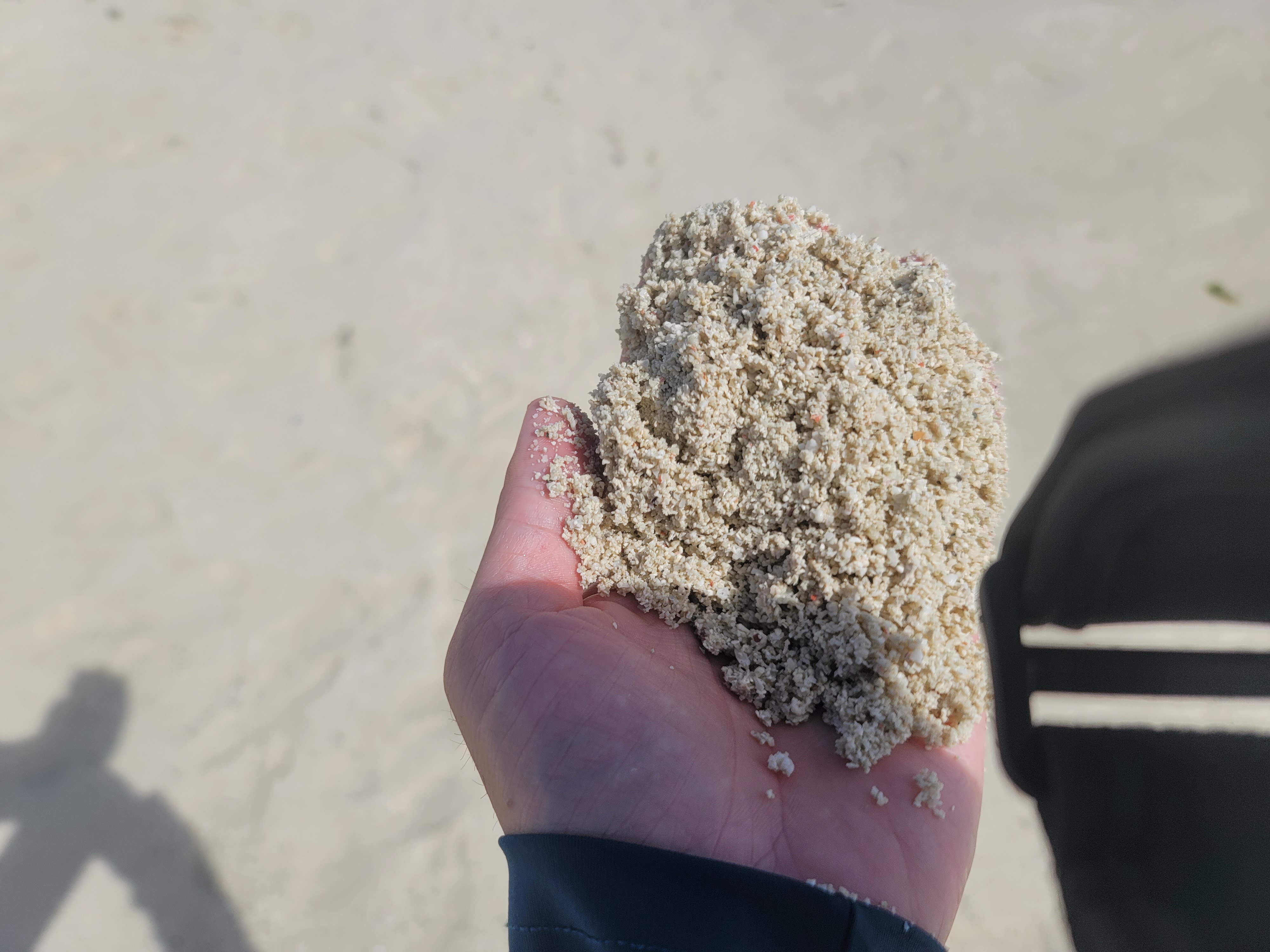 보홀 호핑팩의 하루