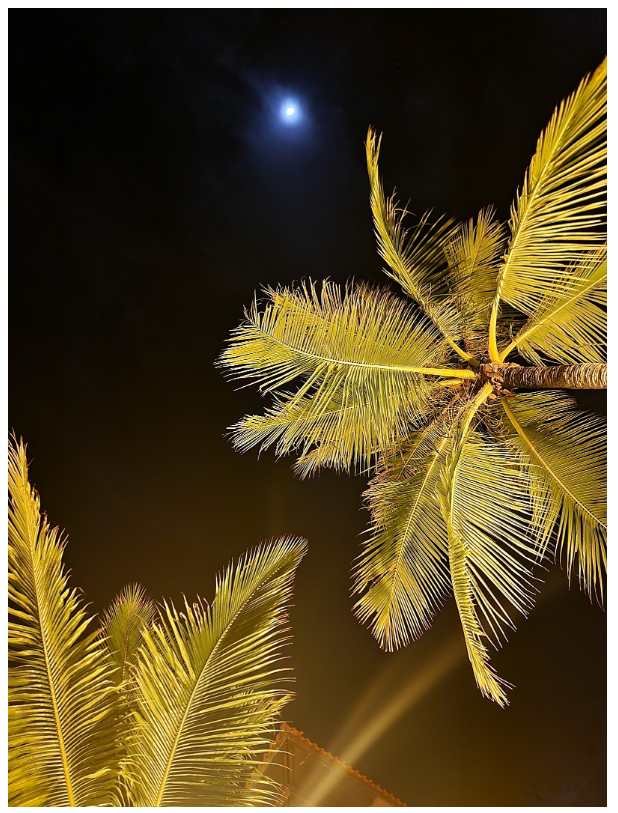 [코타키나발루] 알리가이드님과 함께한 찐여행! 코타키나발루