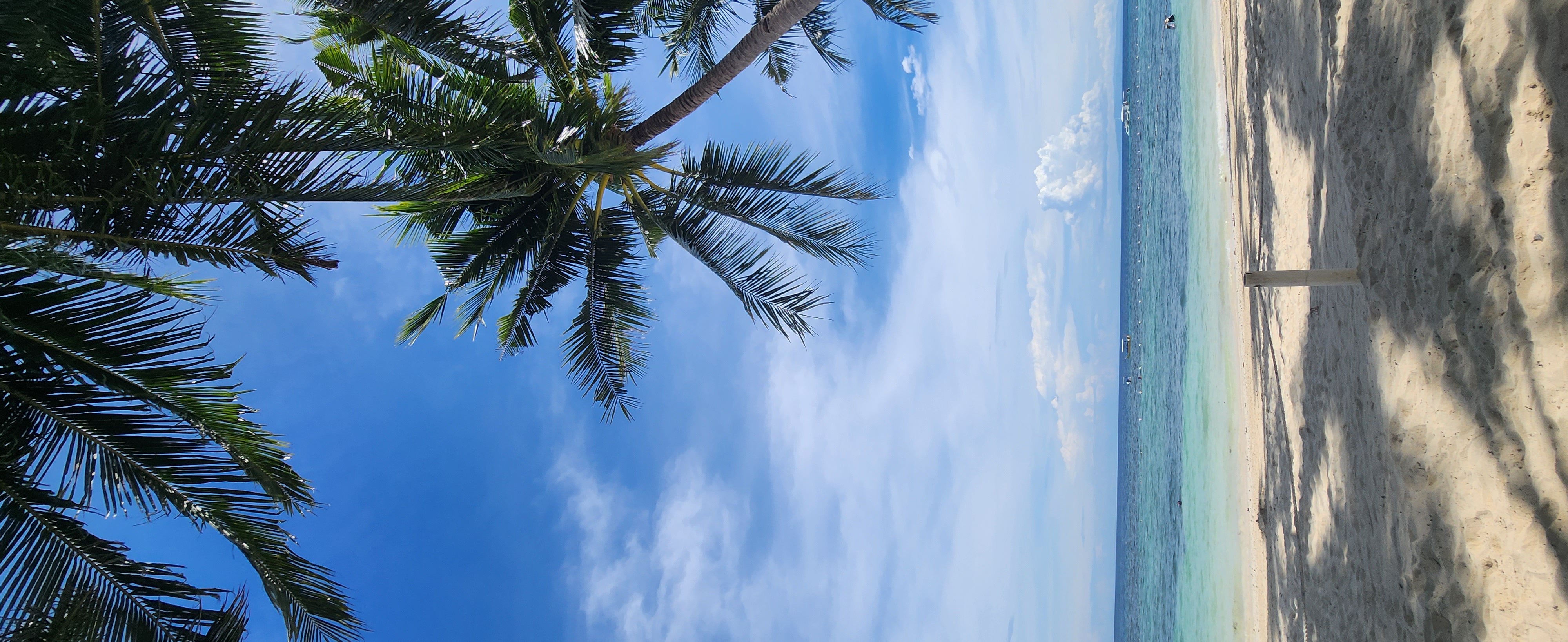 [보홀] 보홀 여행 정말 최고였어요~그레이스(최지현)가이드님, 엘튼 완전 최고예요~(8/13~8/19)