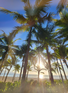 [다낭] 제니 언니와 함께한 가족 다낭 힐링 투어