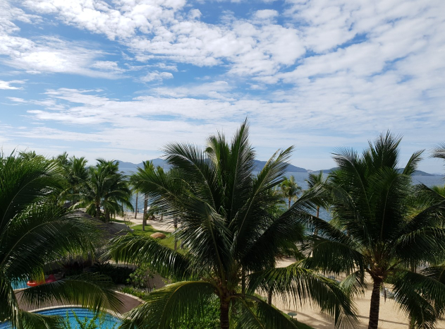 [나트랑] 응답하라 가이드맨! 응답하라 빈펄랜드! (with고은가이드님)