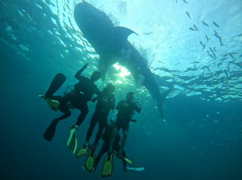 [세부] Ethan 가이드님과 함께한 4박6일 세부여행~^^/