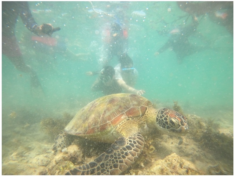 [세부] 세부 3박 6일중 2일 투어 후기 (JEROME SEO , ALIYN 가이드님과 함께)