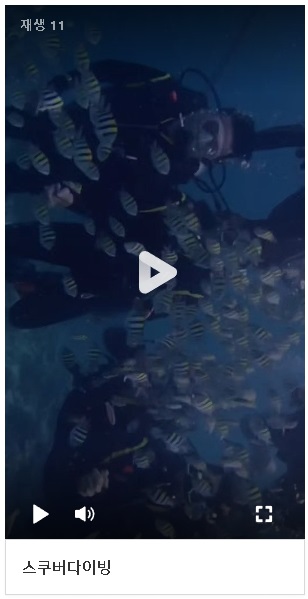 [세부] 좋은 꿈을 꾼 것만 같았던 3박 5일 세부 여행 (나디아 가이드님과 함께)