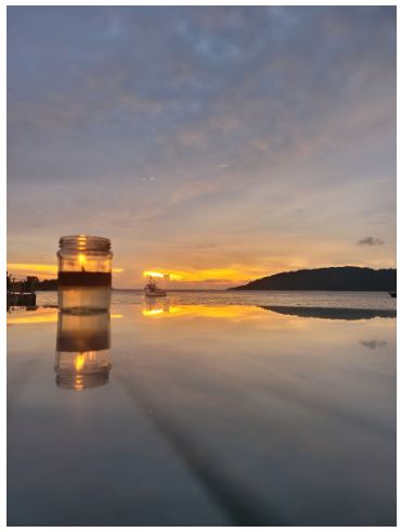 [코타키나발루] 여행이 즐거운 친구들과 코타 여행 후기( : with Ray) [ S S M / 씀 ]