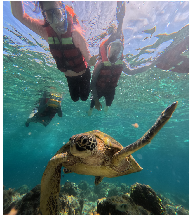 [보홀] 그레이스님과 함께한 보홀팩 3박4일 후기