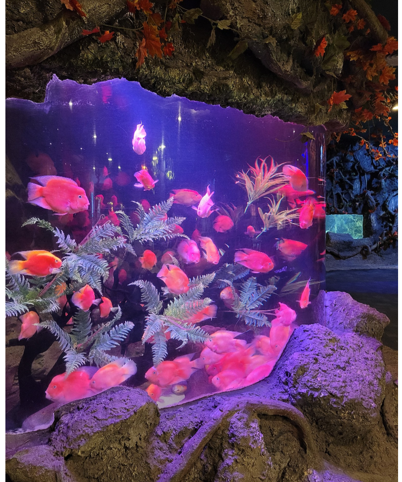 [나트랑] 가이드맨 휘 가이드님과 나뜨랑 여행