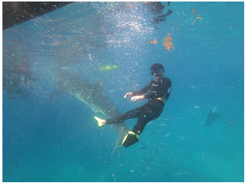 [세부] [채플린가이드님과 함께한 3박5일 세부 여행 후기]