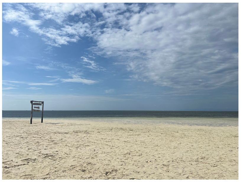 [보홀] 자레드 가이드님과 투어 후기~