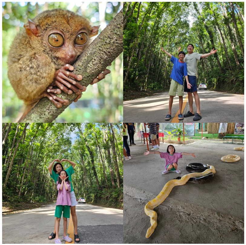 [보홀] 자레드 가이드님과 행복했던 보홀 여행 후기
