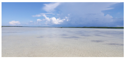 [세부] 채플린 가이드님이과 꿈같은 호핑투어~ 정말 최고였어요.