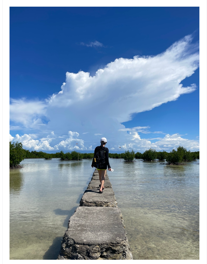 [세부] (여행후기)든든했던 채플린 가이드님!!