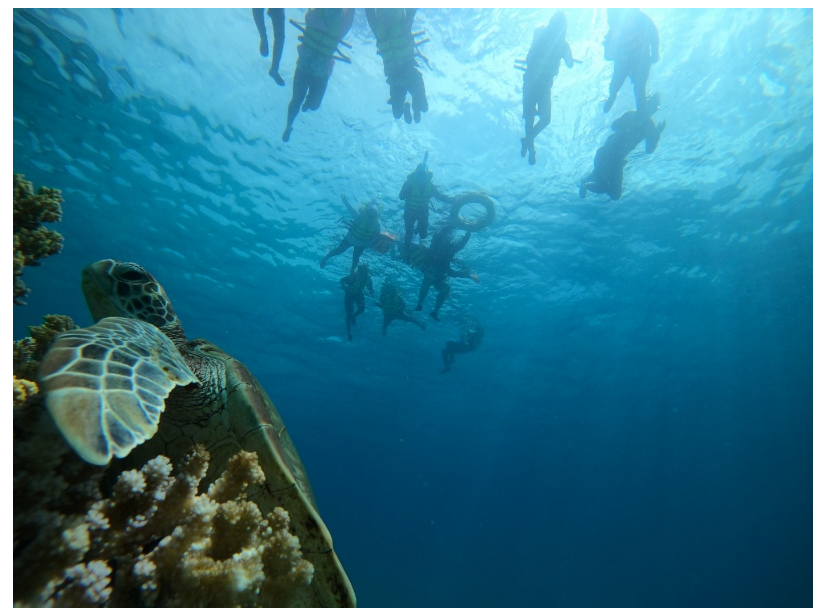 [보홀] 자레드 가이드님 감사합니다~