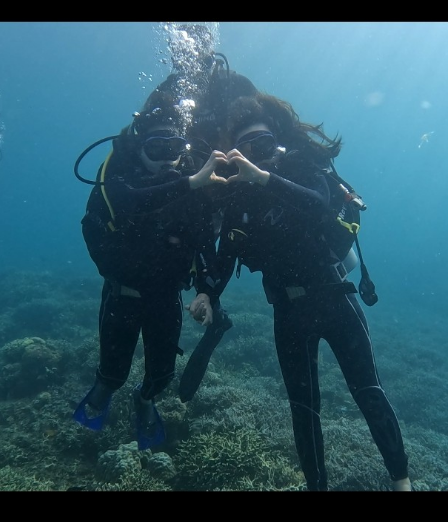 [보홀] 보홀여행