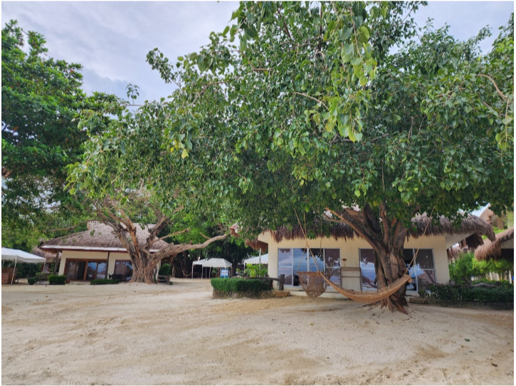 [세부] 잭가이드님과 함께한 첫해외여행!!대만족????