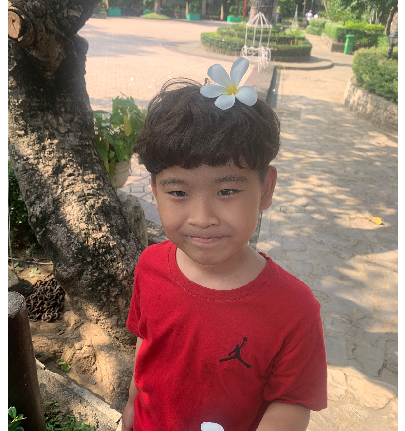 [세부] 세부냐 보홀이냐